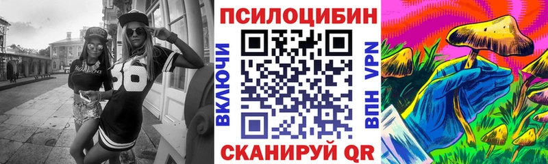 Псилоцибиновые грибы ЛСД Богородск