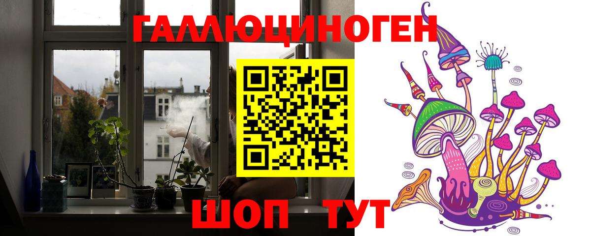 Псилоцибиновые грибы Psilocybe  дарнет шоп  Вход с VPN  Богородск  Псилоцибиновые грибы ЛСД 